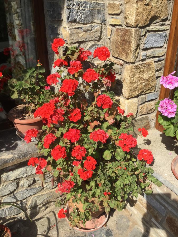Espinavell Hostal El Quinta מראה חיצוני תמונה